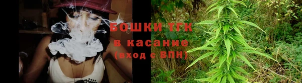 шишки Белоозёрский