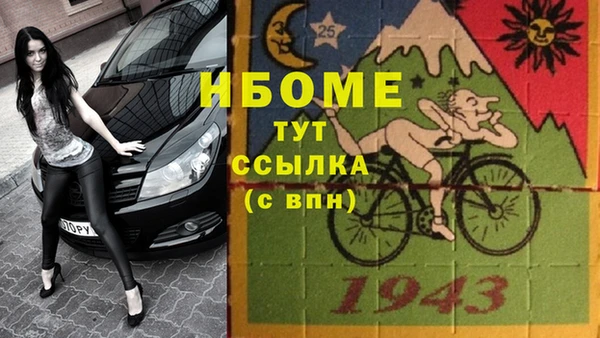 шишки Белоозёрский