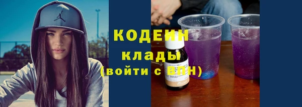 шишки Белоозёрский