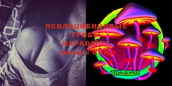 мяу мяу мука Беломорск