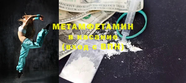 шишки Белоозёрский