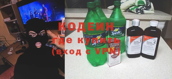 шишки Белоозёрский
