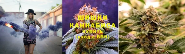 шишки Белоозёрский