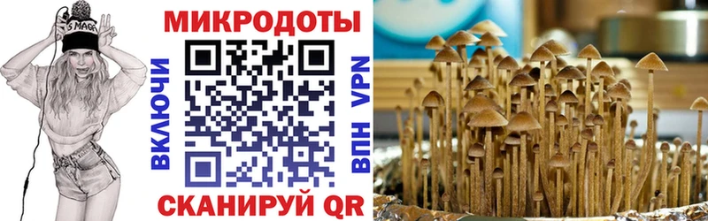 Галлюциногенные грибы ЛСД Брюховецкая